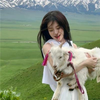 我的老板是小猪